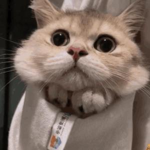 牲z0zo性内交另类
